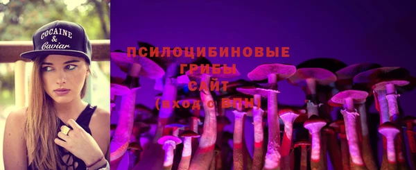 шишки Алексеевка