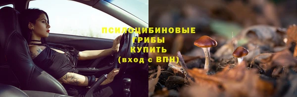 прущая мука Алзамай