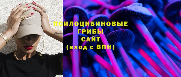 шишки Алексеевка