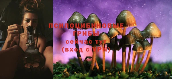 трава Саяногорск